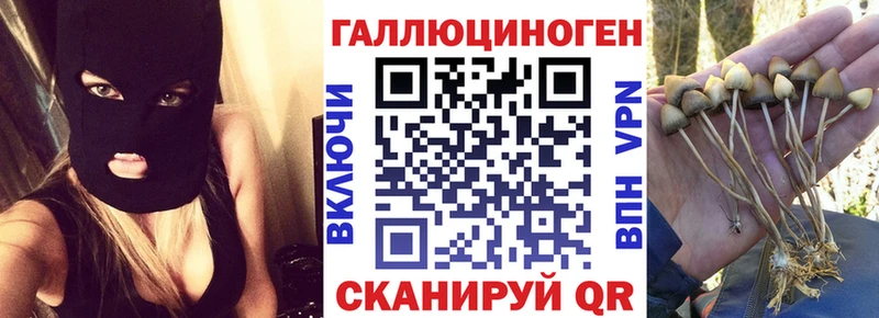 Галлюциногенные грибы мухоморы  что такое наркотик  Сочи 